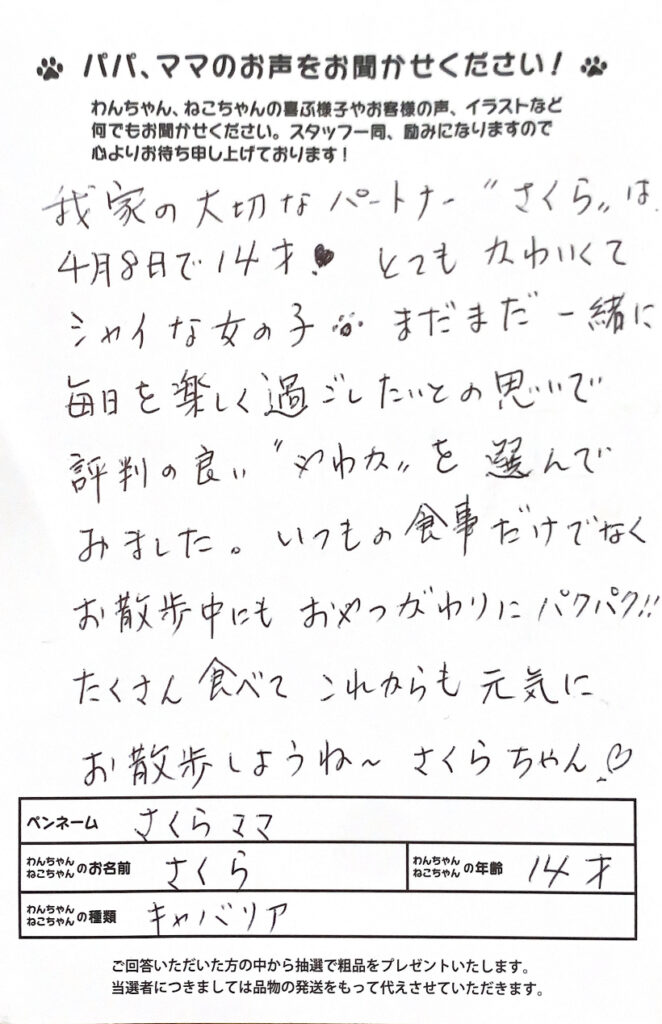 やわかドッグフードの口コミ