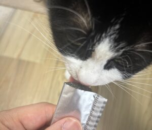 ねこりの食いつき