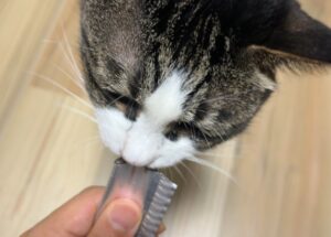 ねこりの評判