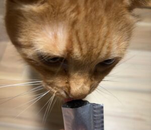 ねこりの評価
