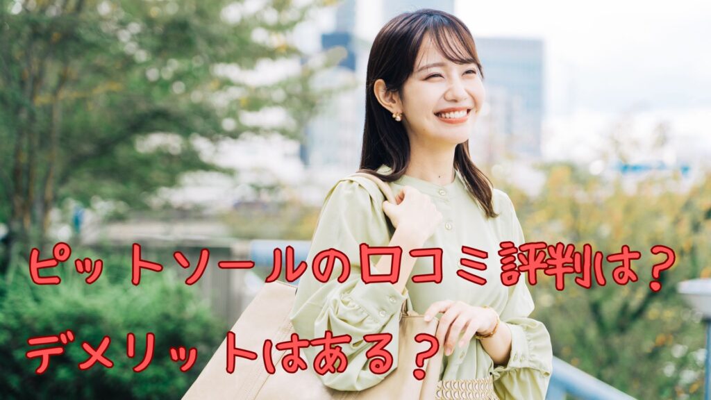 ピットソールの口コミ評判は?デメリットは